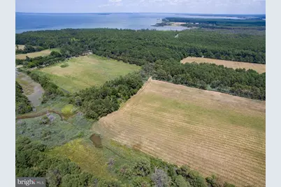 Hoopers Neck Road, Taylors Island, MD 21669 - Photo 14