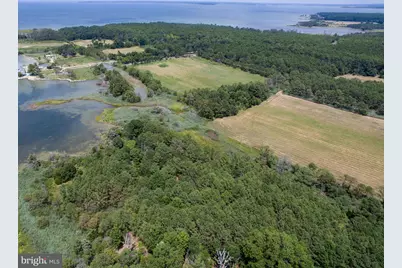 Hoopers Neck Road, Taylors Island, MD 21669 - Photo 12