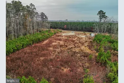 4833 Centennial Road, Vienna, MD 21869 - Photo 6