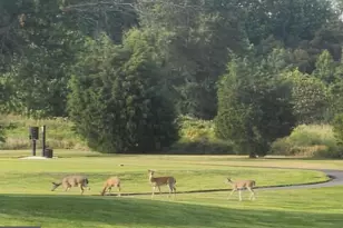 2707 Marsh Elder Dr, Cambridge, MD 21613 - Photo 42