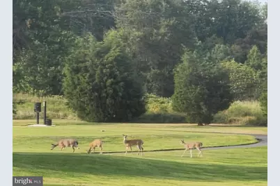 2707 Marsh Elder Drive, Cambridge, MD 21613 - Photo 44