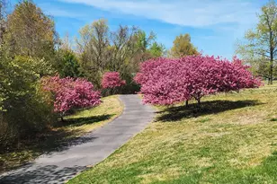 2707 Marsh Elder Dr, Cambridge, MD 21613 - Photo 10