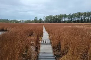 3241 Robbins Rd, Crapo, MD 21626 - Photo 14