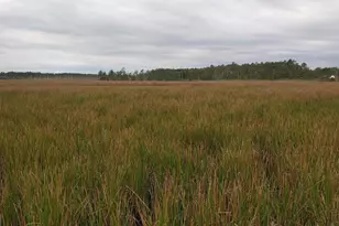 3241 Robbins Rd, Crapo, MD 21626 - Photo 28