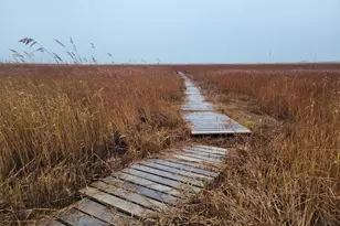 3241 Robbins Rd, Crapo, MD 21626 - Photo 8