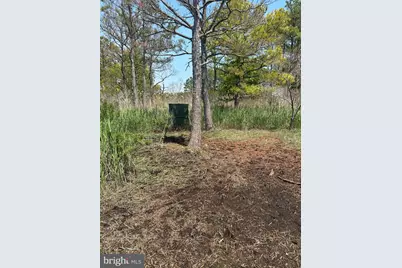 3241 Robbins Road, Crapo, MD 21626 - Photo 48