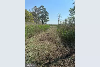 3241 Robbins Road, Crapo, MD 21626 - Photo 46