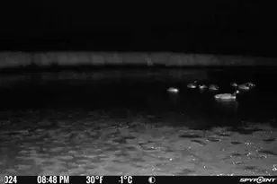 3241 Robbins Rd, Crapo, MD 21626 - Photo 34