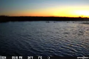 3241 Robbins Rd, Crapo, MD 21626 - Photo 32