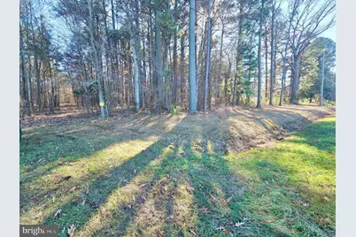 Sika, Whitetail & Turkey Church Creek Rd, Cambridge, MD 21613 - Photo 1