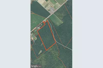 Sika, Whitetail & Turkey Church Creek Rd, Cambridge, MD 21613 - Photo 2