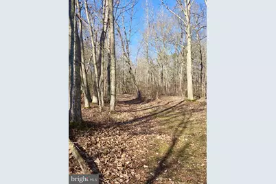 Sika, Whitetail & Turkey Church Creek Rd, Cambridge, MD 21613 - Photo 26