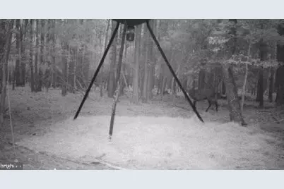 Robinson Neck Road, Taylors Island, MD 21669 - Photo 6