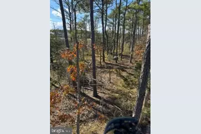 Robinson Neck Road, Taylors Island, MD 21669 - Photo 4