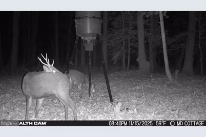 4424 Hoopers Neck Road, Taylors Island, MD 21669 - Photo 10