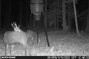 4424 Hoopers Neck Rd, Taylors Island, MD 21669 - Photo 10