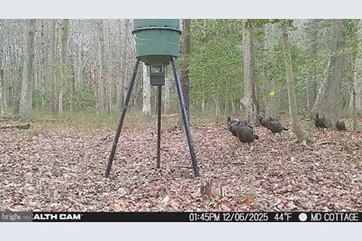 4424 Hoopers Neck Road, Taylors Island, MD 21669 - Photo 14