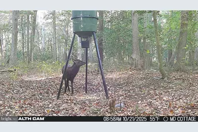 4424 Hoopers Neck Road, Taylors Island, MD 21669 - Photo 4