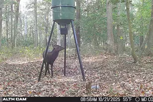 4424 Hoopers Neck Rd, Taylors Island, MD 21669 - Photo 4