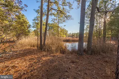 3819 Maple Dam Road, Cambridge, MD 21613 - Photo 52