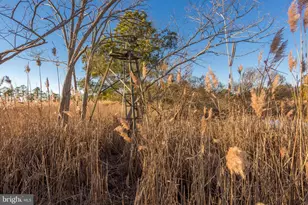 3819 Maple Dam Rd, Cambridge, MD 21613 - Photo 60
