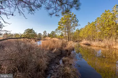 3819 Maple Dam Road, Cambridge, MD 21613 - Photo 48