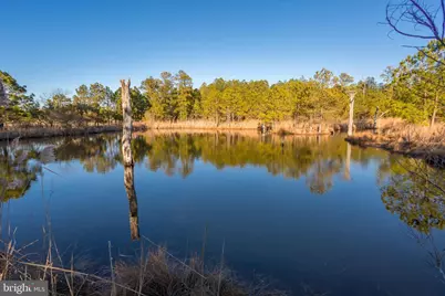 3819 Maple Dam Road, Cambridge, MD 21613 - Photo 58