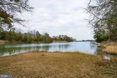 5211 Heron Road, Cambridge, MD 21613 - Photo 52