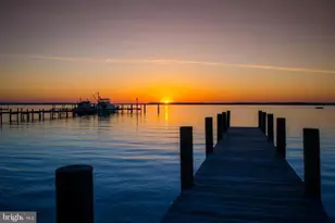 601 Yellow Bill, Cambridge, MD 21613 - Photo 14