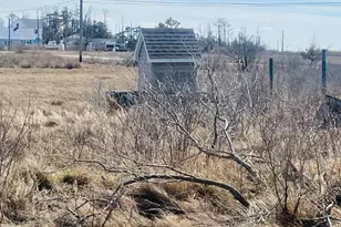 1511 Crocheron Rd, Toddville, MD 21672 - Photo 10