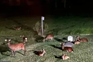 1511 Crocheron Rd, Toddville, MD 21672 - Photo 26