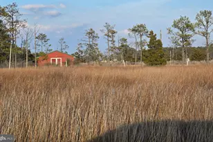 1511 Crocheron Rd, Toddville, MD 21672 - Photo 32