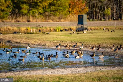 964 Taylors Island Road, Madison, MD 21648 - Photo 4