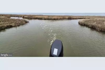 Duck, Sika & Waterfowl Muskrat Harbor, Crapo, MD 21626 - Photo 6