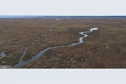 Duck, Sika & Waterfowl Muskrat Harbor, Crapo, MD 21626 - Photo 12