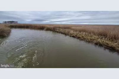 Duck, Sika & Waterfowl Muskrat Harbor, Crapo, MD 21626 - Photo 4