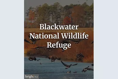 201 Bowline Drive, Cambridge, MD 21613 - Photo 22