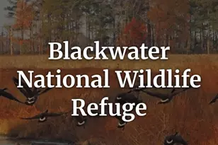 201 Bowline Dr, Cambridge, MD 21613 - Photo 22