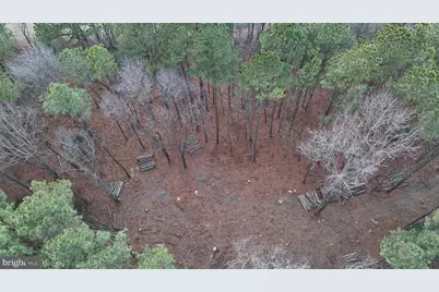 Bobtown Road, Hurlock, MD 21643 - Photo 8