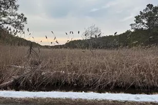 2625 Toddville Rd, Toddville, MD 21672 - Photo 2