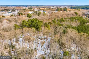 5675 Mt Holly Rd, East New Market, MD 21631 - Photo 32