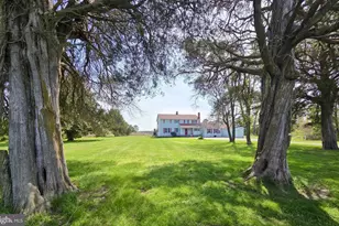 5210 Wilson Rd, Cambridge, MD 21613 - Photo 4