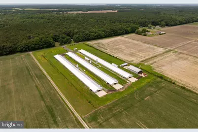 Beaver Neck Village Road, Cambridge, MD 21613 - Photo 4