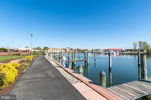 202 Muir St, Cambridge, MD 21613 - Photo 44