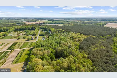 6941 Hubbard Road, Hurlock, MD 21643 - Photo 54