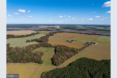 Indiantown Road, Rhodesdale, MD 21659 - Photo 16