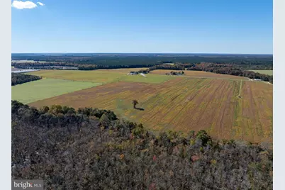 Indiantown Road, Rhodesdale, MD 21659 - Photo 6