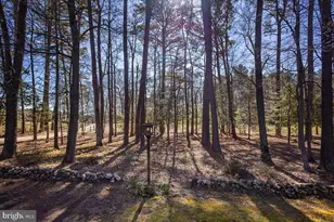 5256 Williamsburg Rd, Federalsburg, MD 21632 - Photo 22