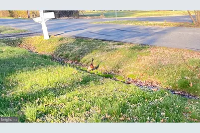 2203 Hambrooks Boulevard, Cambridge, MD 21613 - Photo 70