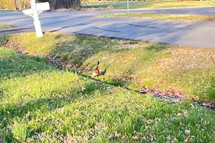 2203 Hambrooks Blvd, Cambridge, MD 21613 - Photo 70